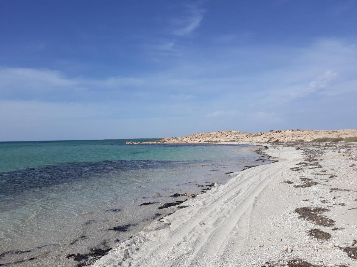 Dar Chick Yahia Ile De Djerba Bed and Breakfast Mezrane Exteriör bild