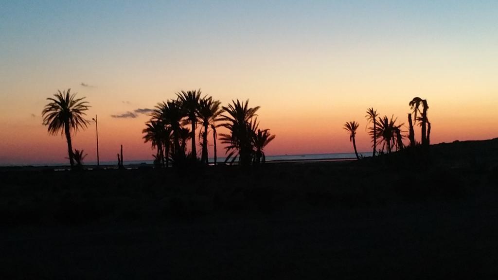 Dar Chick Yahia Ile De Djerba Bed and Breakfast Mezrane Exteriör bild